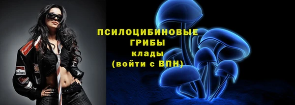 соль ск Саяногорск